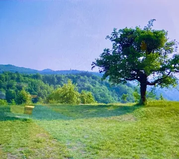 PRILIKA! Građ. zemljište, Istra-Draguć, 2257m2 - cover