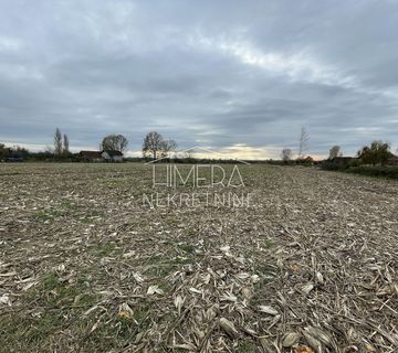 11000 M2 PARCELA NA GLAVNOJ CESTI - cover