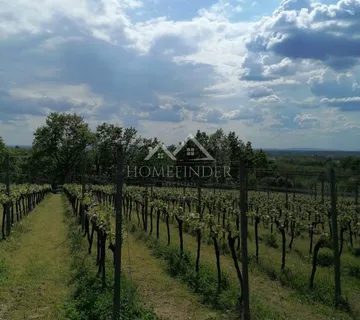 Klijet i vinograd, 34m2, Gornja Gračenica, - Gornja Gračenica, Popovača