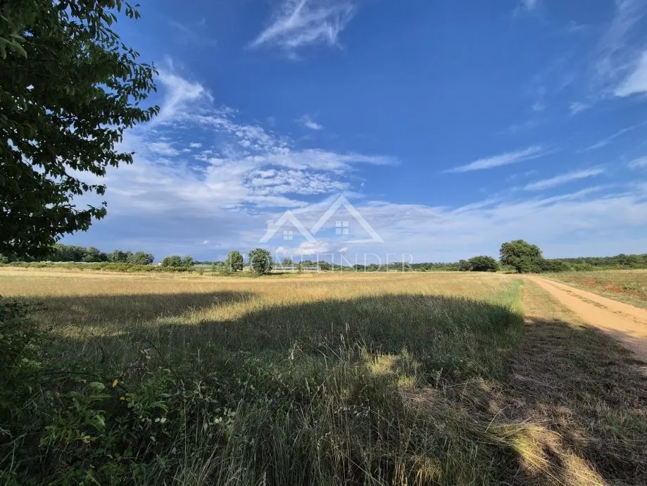 Prostrano poljoprivredno zemljište, Kaštelir, 32619m² - cover