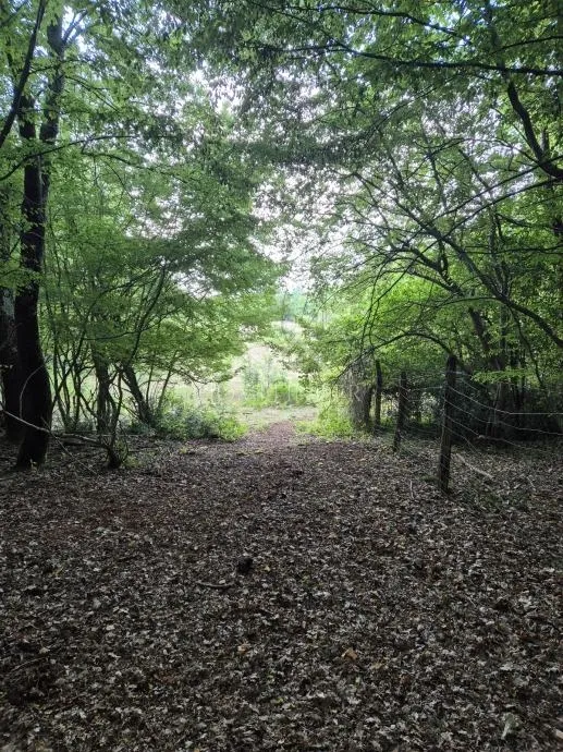 Prostrano poljoprivredno zemljište, Kaštelir, 24118m² - cover