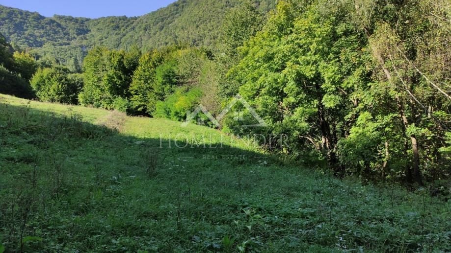 Fotografija