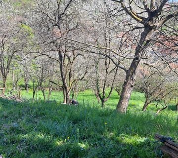 Na prodaju građevinsko zemljište 1574 m² – Branovac - cover