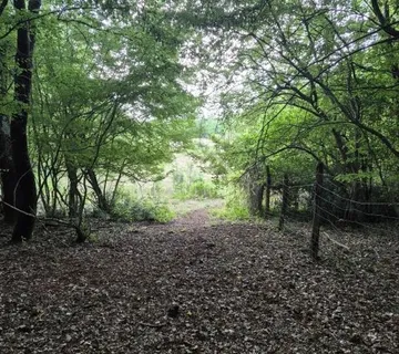 Prostrano poljoprivredno zemljište, Kaštelir, 24118m² - cover