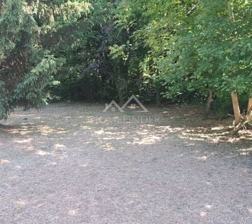 ZEMLJIŠTE 3909 m² (ŠUMA + ORANICA)  - cover