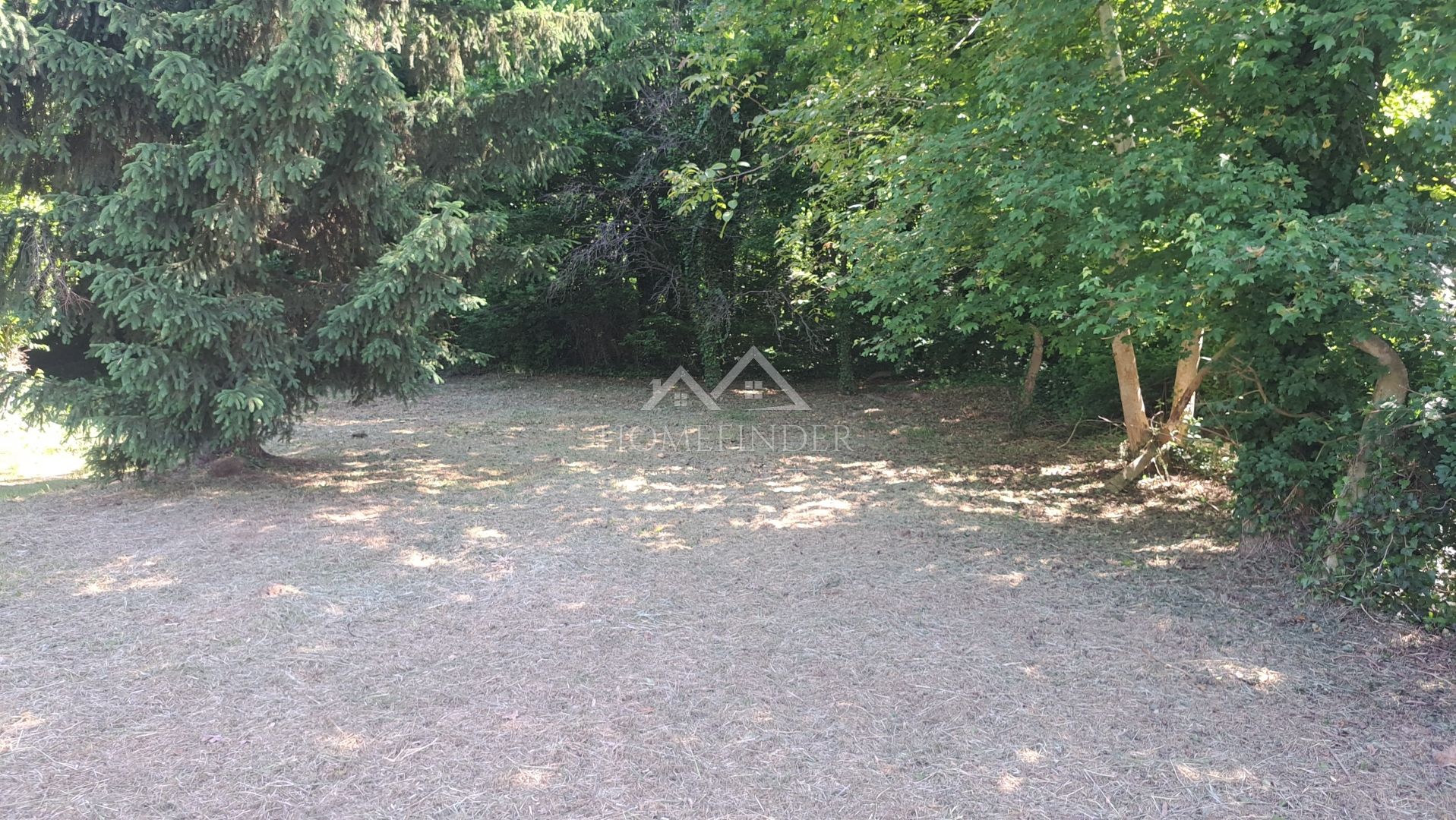 Fotografija