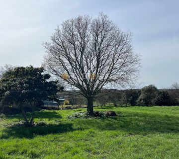 Jadreški, Pula, građevinsko zemljište 2000 m2 sa kućom od 40 m2  - cover