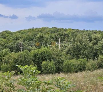 Poljoprivredno sa šumom oko Vrsara / Agricultural land with Forest  - cover