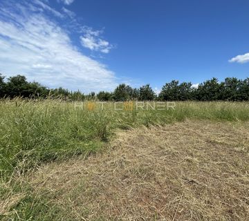 Vodnjanska cesta, poljoprivredno zemljište uz cestu 1.600m2 sa vodom - cover