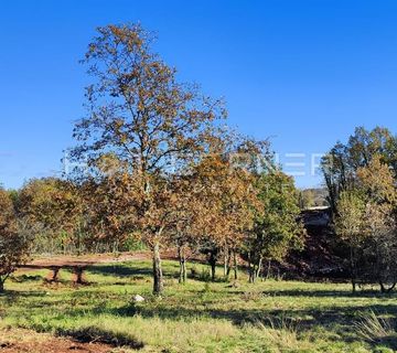 Rojnići, Barban, građevinsko zemljište 5.500m2 - cover