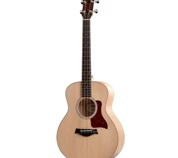 TAYLOR GS MINI-e MAPLE BASS - cover