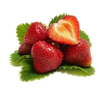 JAGODA “Eve’s Delight” VISILICA - cover