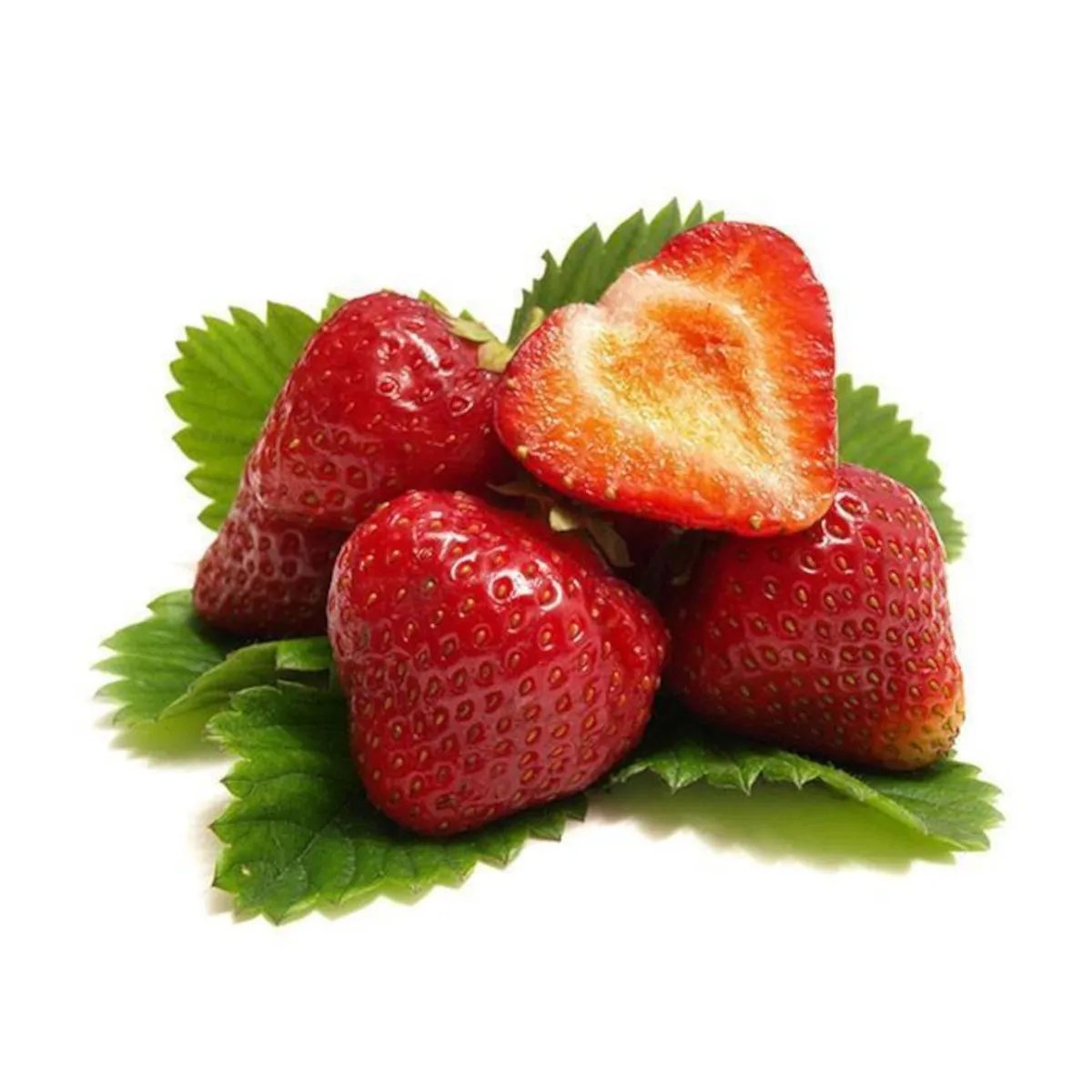 JAGODA “Eve’s Delight” VISILICA - cover