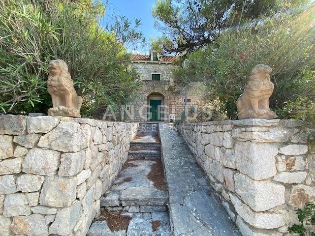 Tisno - stara villa na parceli od 10.000m2 s vinogradom i maslinikom - cover