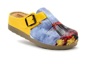 ANATOMSKE KLOMPE, BCEDJ - cover