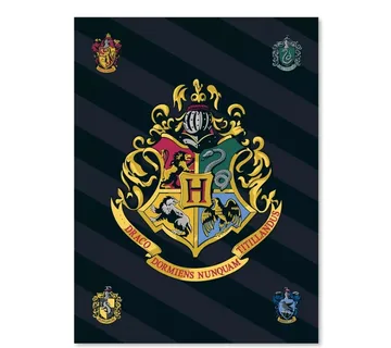 Harry Potter ‘Hogwarts Crest’ deka, 100×140 cm - cover