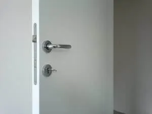 BLACK FRIDAY-SOBNA VRATA - cover