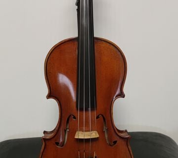 Elektroakustična violina 4/4, Bridge Golden tasman  - cover