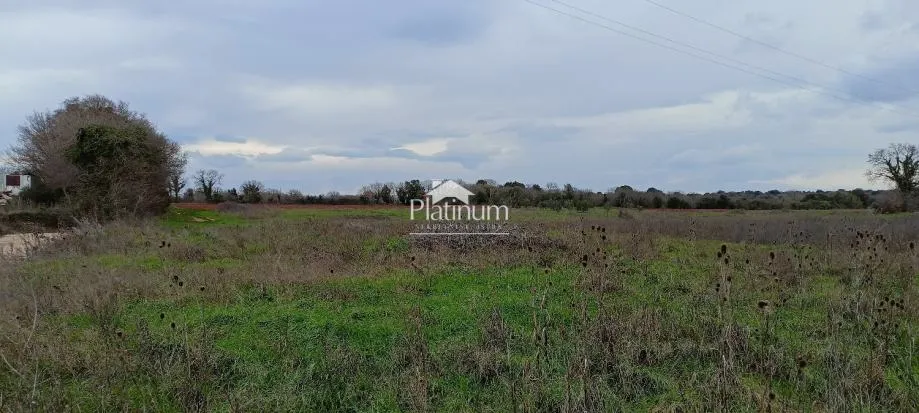 Fotografija