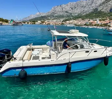 BOSTON WAHLER 305 CONQUEST u odličnom stanju - cover