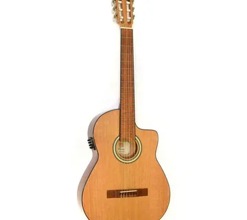 APC 1C CW ELEKTRO KLASIČNA GITARA - cover