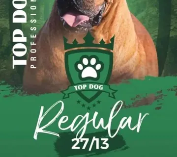 TOP DOG PROFESIONAL REGULAR 27/13 - cover