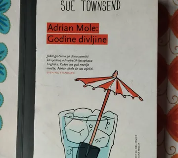 Sue Townsend - Adrian Mole: Godine divljine - Samobor