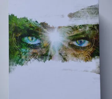 Villoldo,Baron - Reid, Lobos - Mystical Shaman Oracle - karte - Samobor