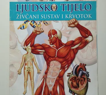 Ljudsko tijelo; živčani sustav i krvotok - Samobor