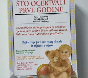 Eisenberg, Murkoff, Hathaway - Što očekivati prve godine - Samobor