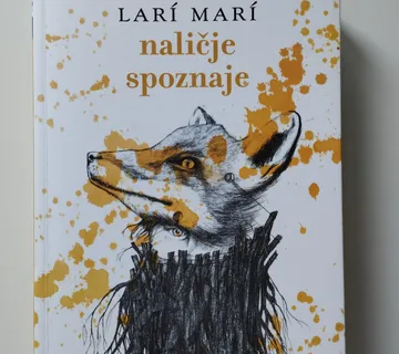 Lari Mari - Naličje spoznaje - Samobor
