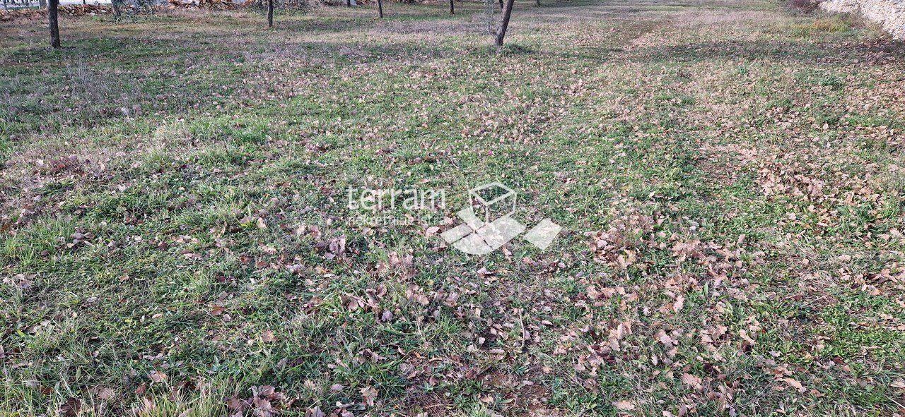 Fotografija