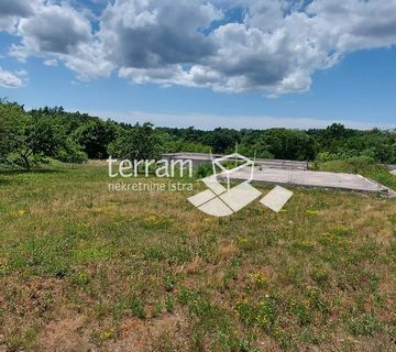 Istra, Lindar, započeta gradnja, 229m2, 2000m2 okućnice! - cover