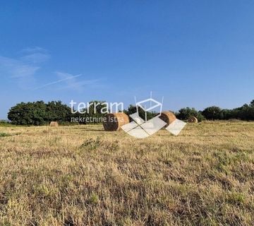 Istra, Kanfanar građevinsko zemljište 3292m2, panorarmski pogled na more  #prodaja - cover