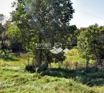 Istra, Svetvinčenat, Štokovci, građevinsko i poljoprivredno zemljište 9270m2  #prodaja - cover