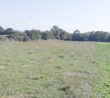 Agricultural land: Privlaka, 1225 m2, Croatia