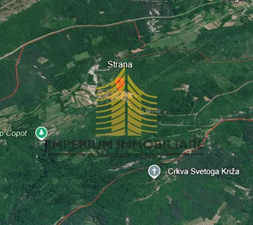Zemljište, Prodaja, Buzet, Strana, 5400m2, Poljoprivredna površina - Strana, Buzet