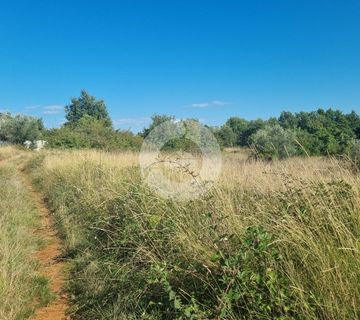 OKOLICA POREČA!!! 4 građevinske parcele na rubu naselja, 7 km od Poreča - cover