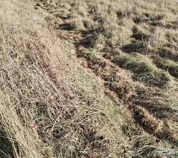 Građevinsko zemljište Trilj, Košute - cover
