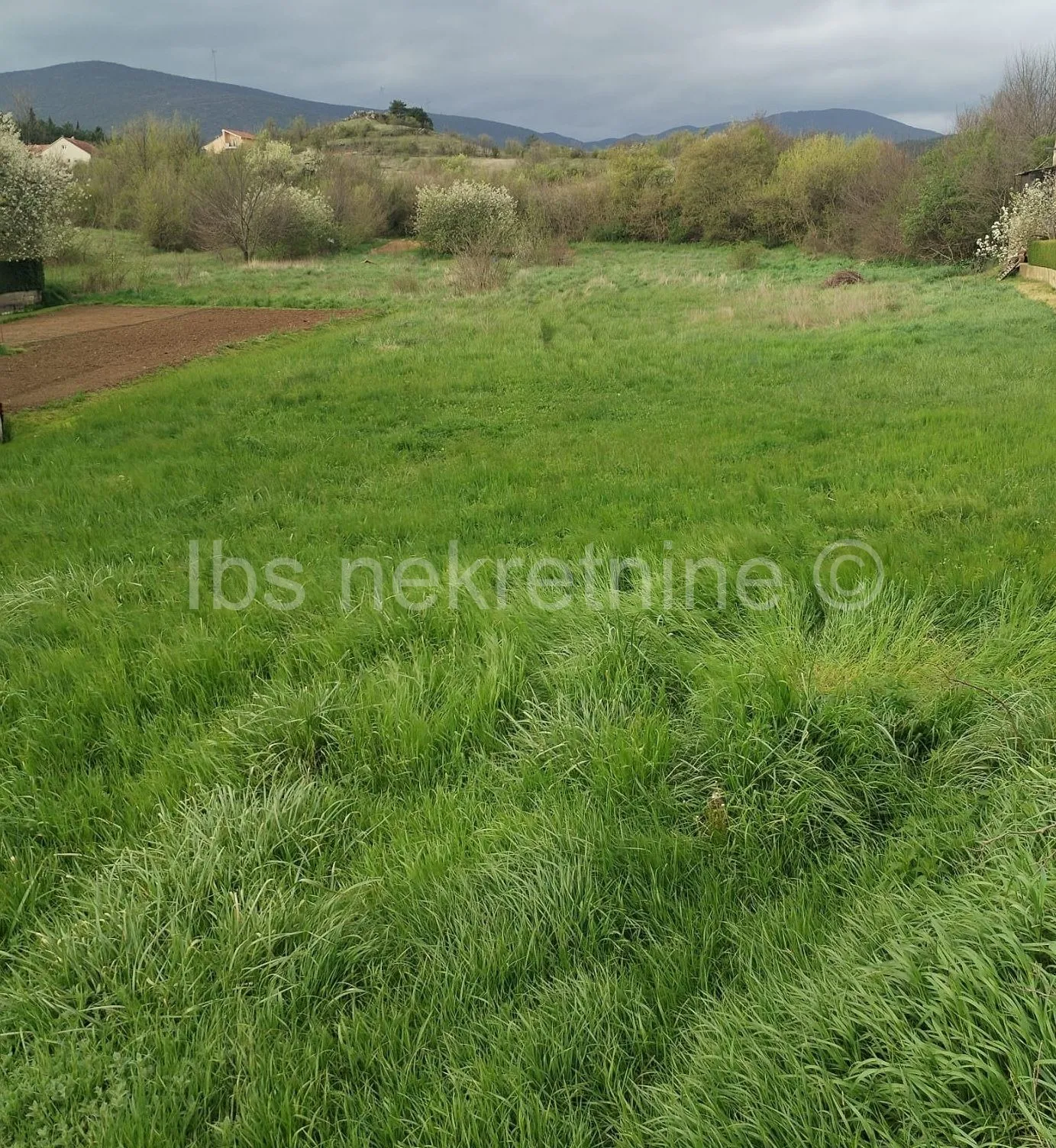Sinj, građevinsko zemljište 1900m2 - cover
