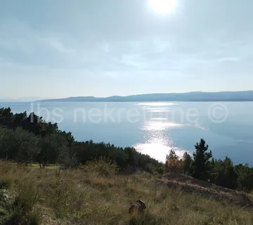 Marušići zemljište 4000 m2 - Marušići, Omiš