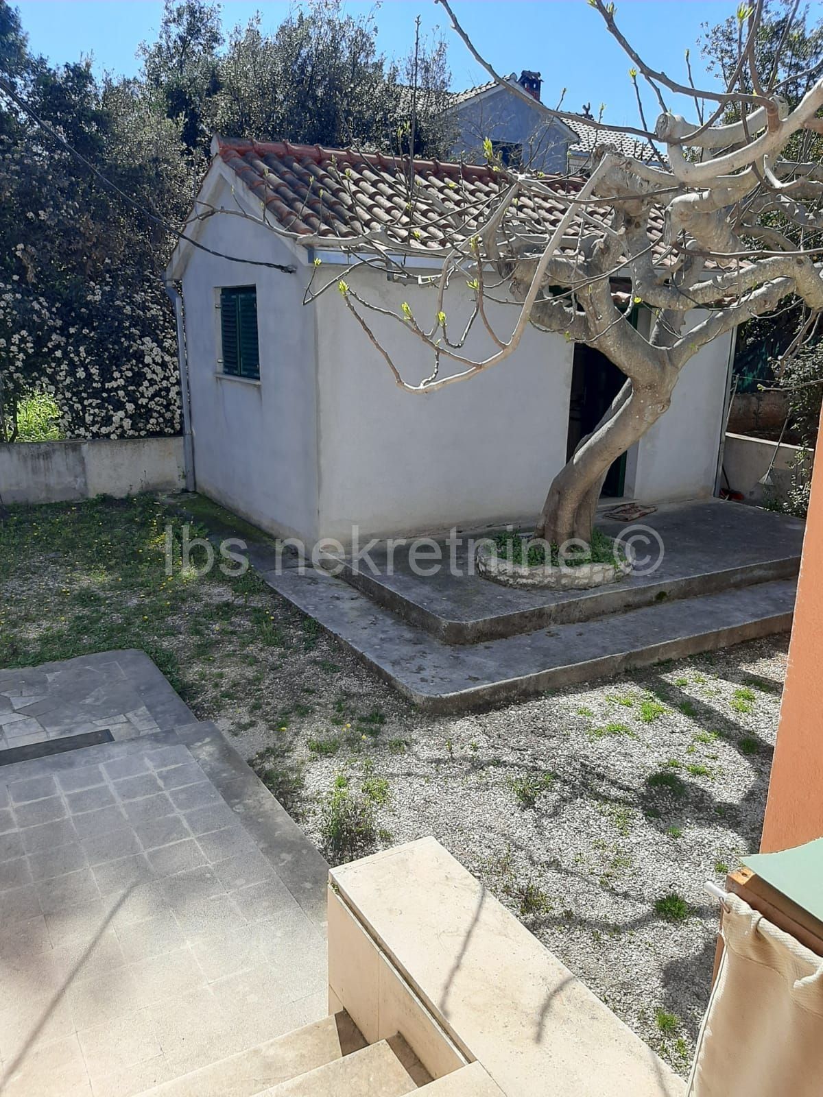Fotografija