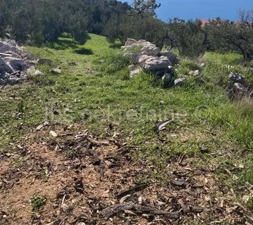 Podgora - građevinsko i poljoprivredno zemljište sa pogledom na more! - cover