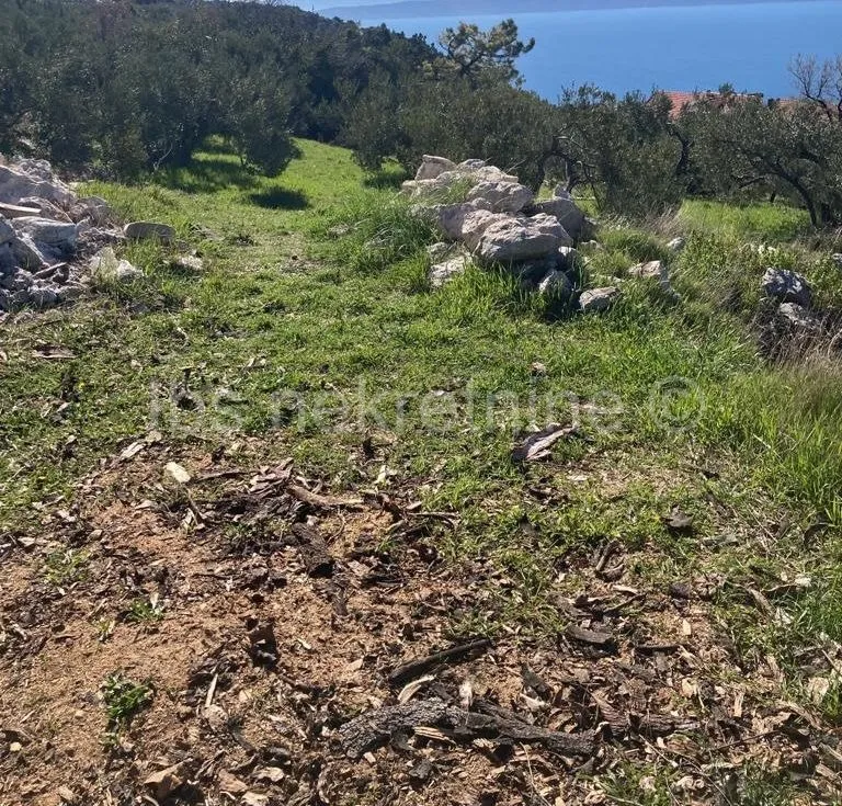 Podgora - građevinsko i poljoprivredno zemljište sa pogledom na more! - cover