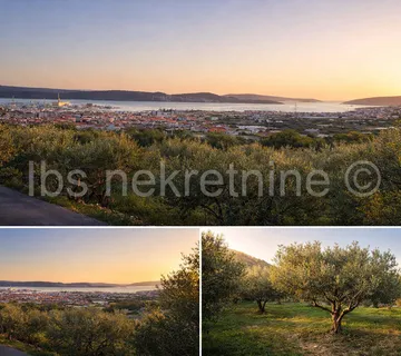 ***Trogir – Prekrasan maslinik s pogledom na more!!!*** - Trogir, Trogir
