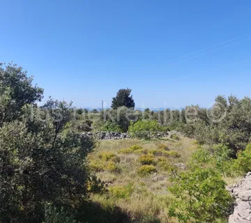 Zemljište, maslinik!! - Rogoznica, Rogoznica
