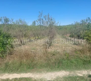 .::: Voćnjak s bademima u Dubravicama :::. - cover