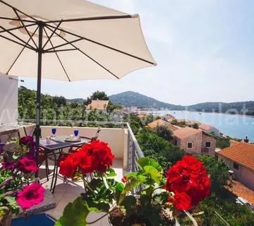 .::: Predivna kuća sa 4 app na otoku Kapriju :::. - cover