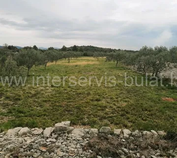 .::: Lijepi maslinik 2.989m2 :::. - cover