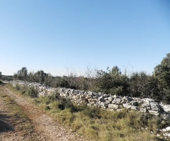 .::: Građevinsko zemljište 3.250 m2 na mirnoj lokaciji :::. - cover